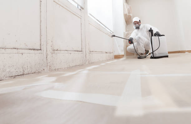 Black mold remediation team in Long Branch